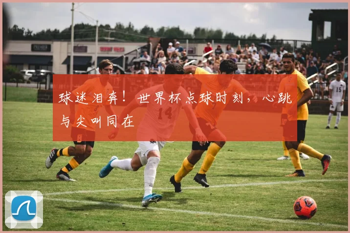 球迷泪奔！世界杯点球时刻，心跳与尖叫同在