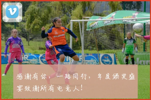 感谢有你,一路同行,年度颁奖盛宴致谢所有电竞人!