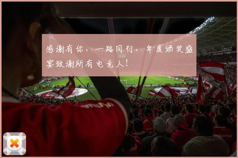感谢有你,一路同行,年度颁奖盛宴致谢所有电竞人!